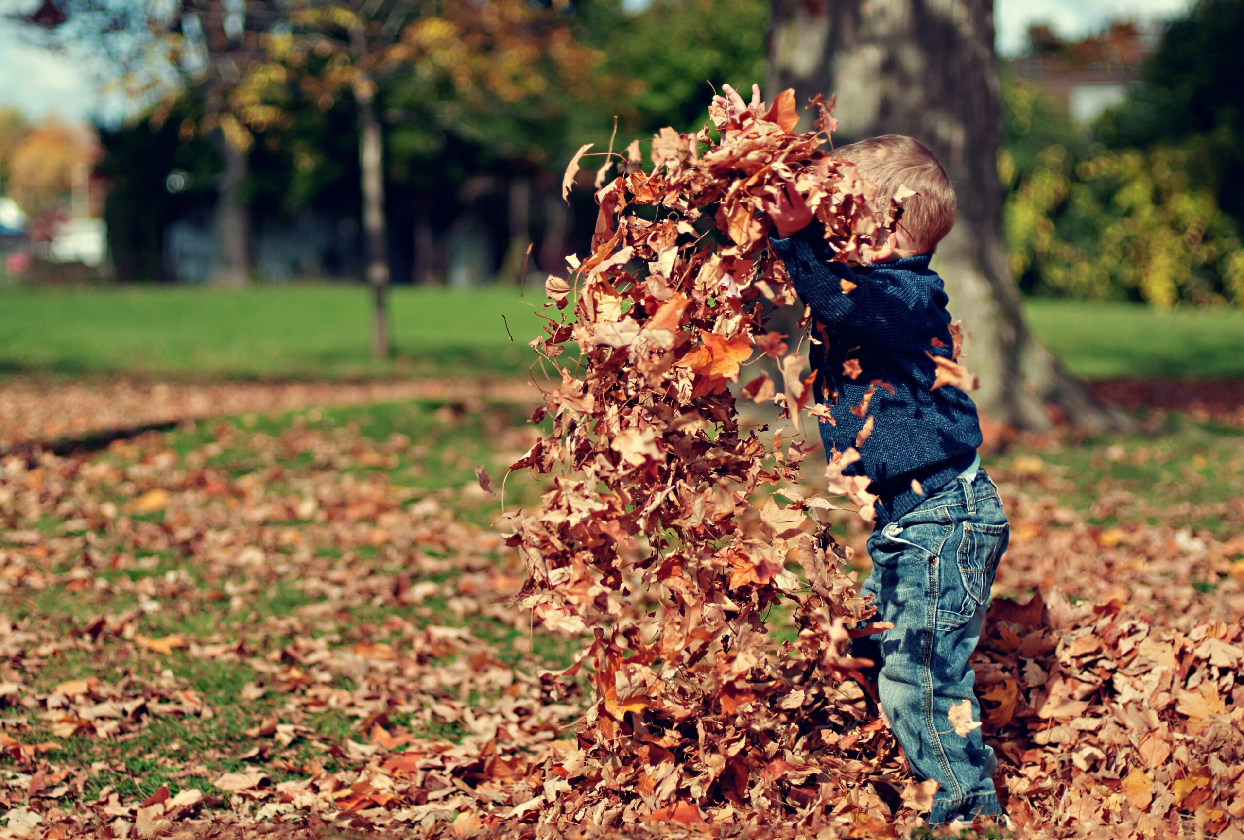 Nature play